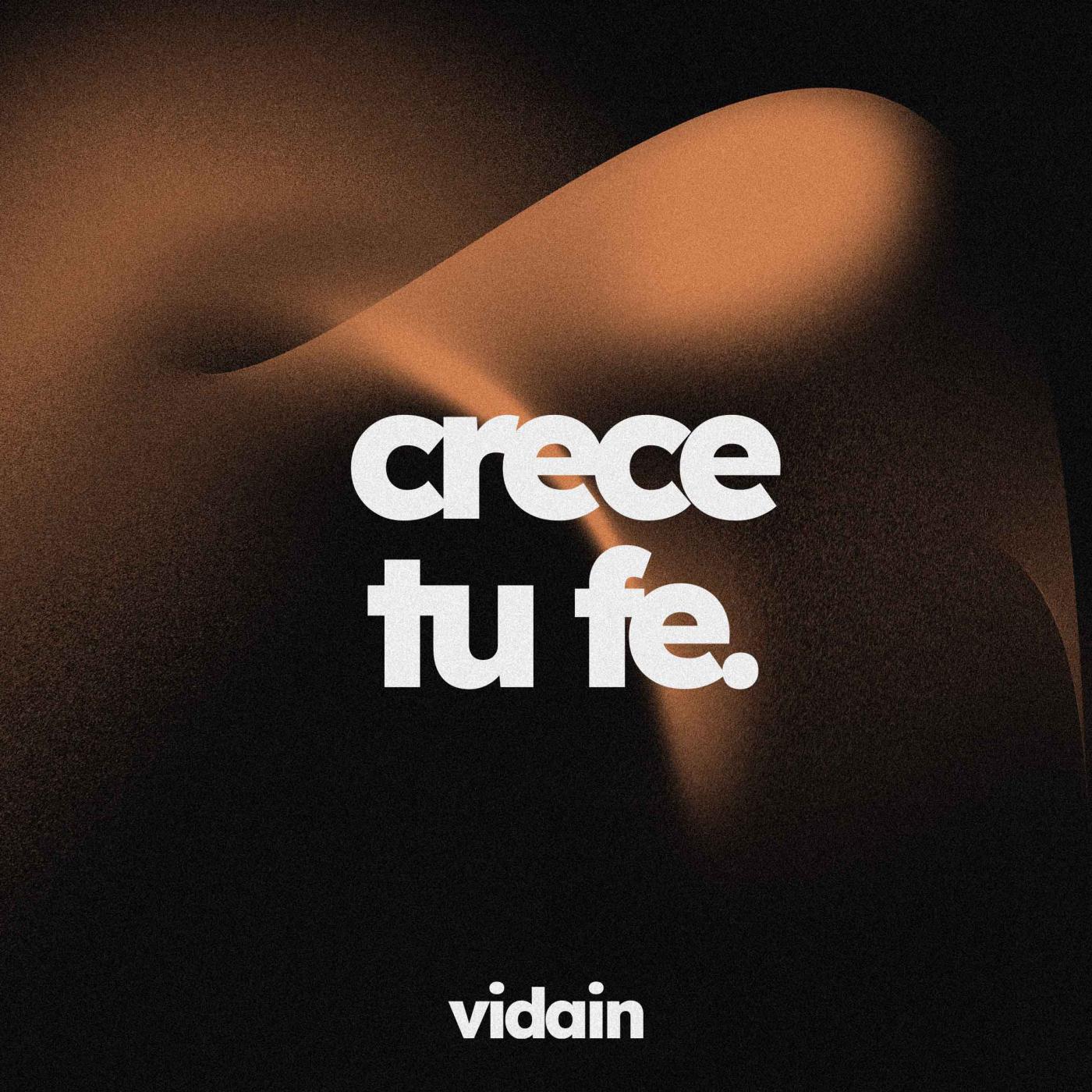 vidain - CDMX Cover Art