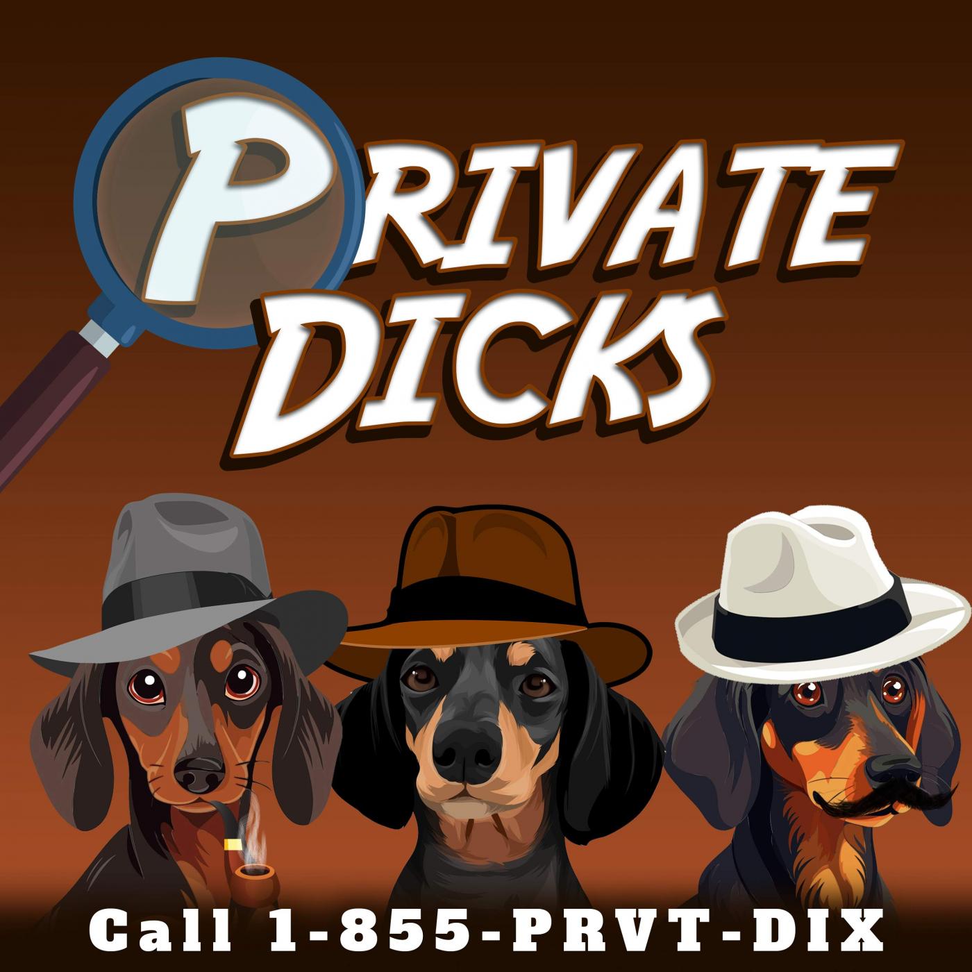 Private Dicks Cover Art