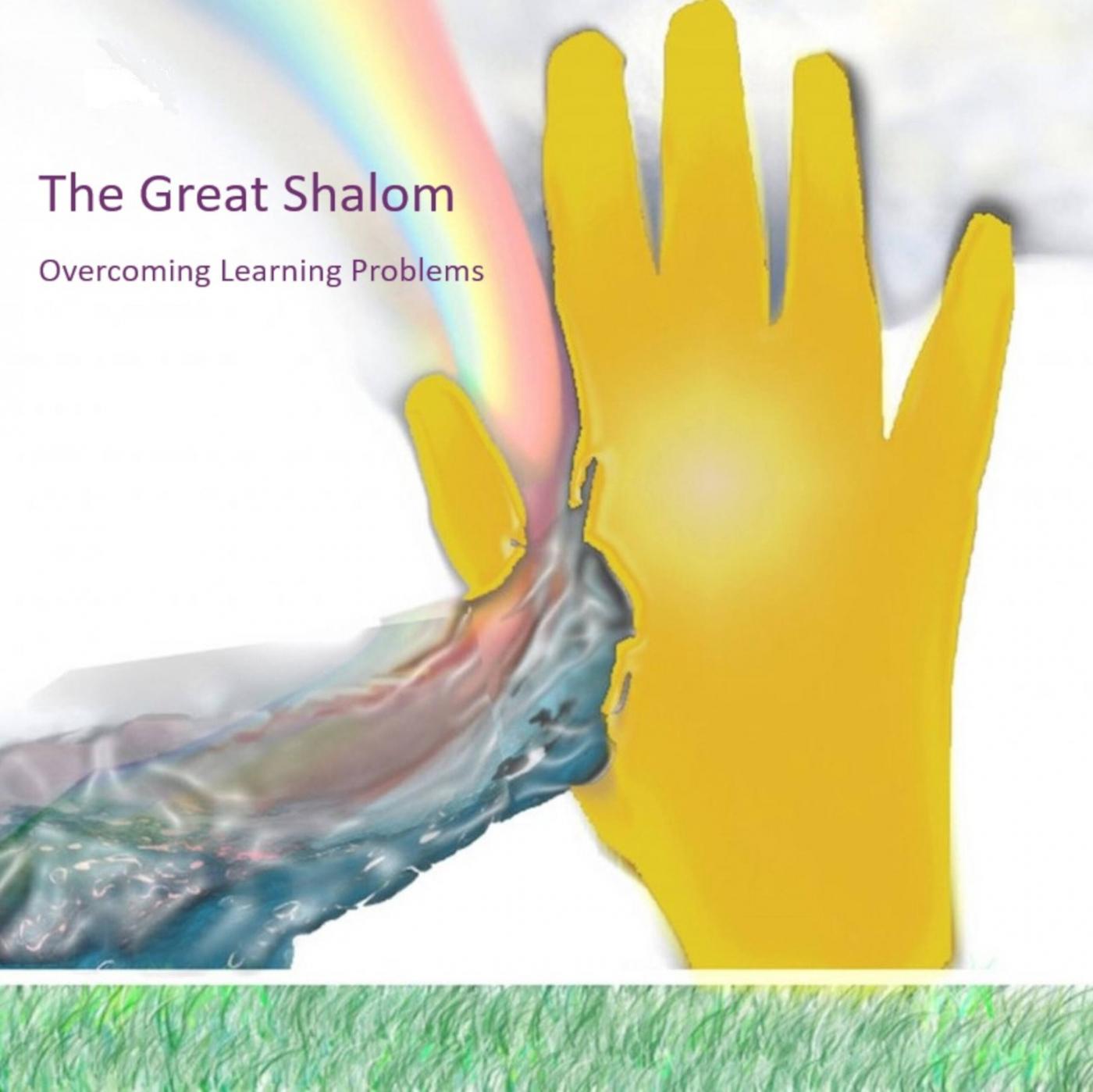 The Great Shalom Podcast :  Overcoming Learning Problems Cover Art
