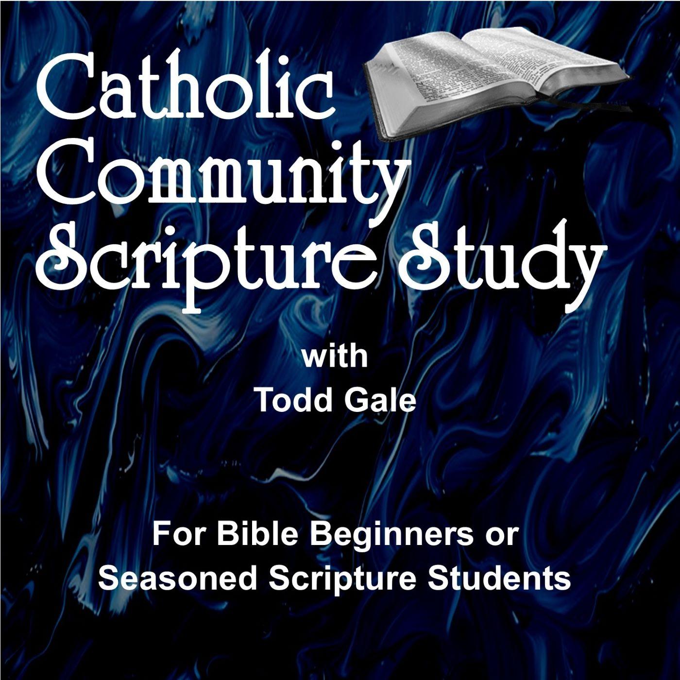 Catholic Community Bible Study Cover Art