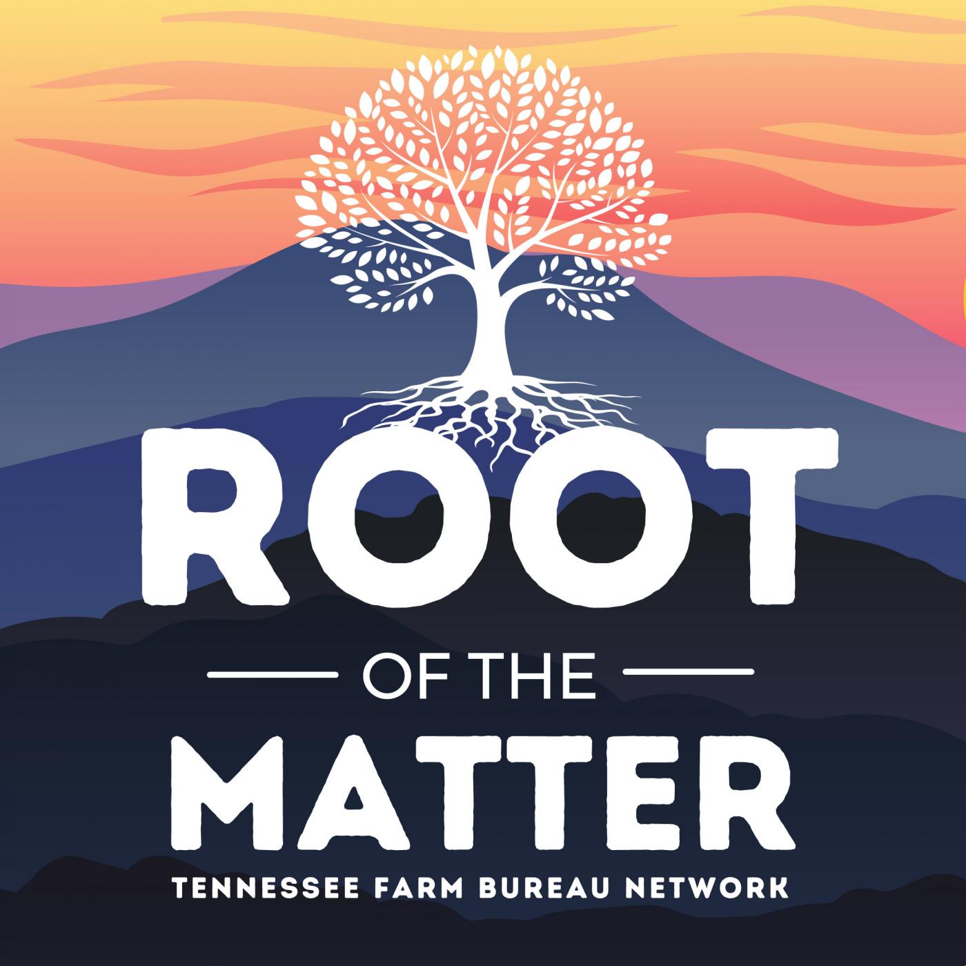 Root of the Matter Cover Art
