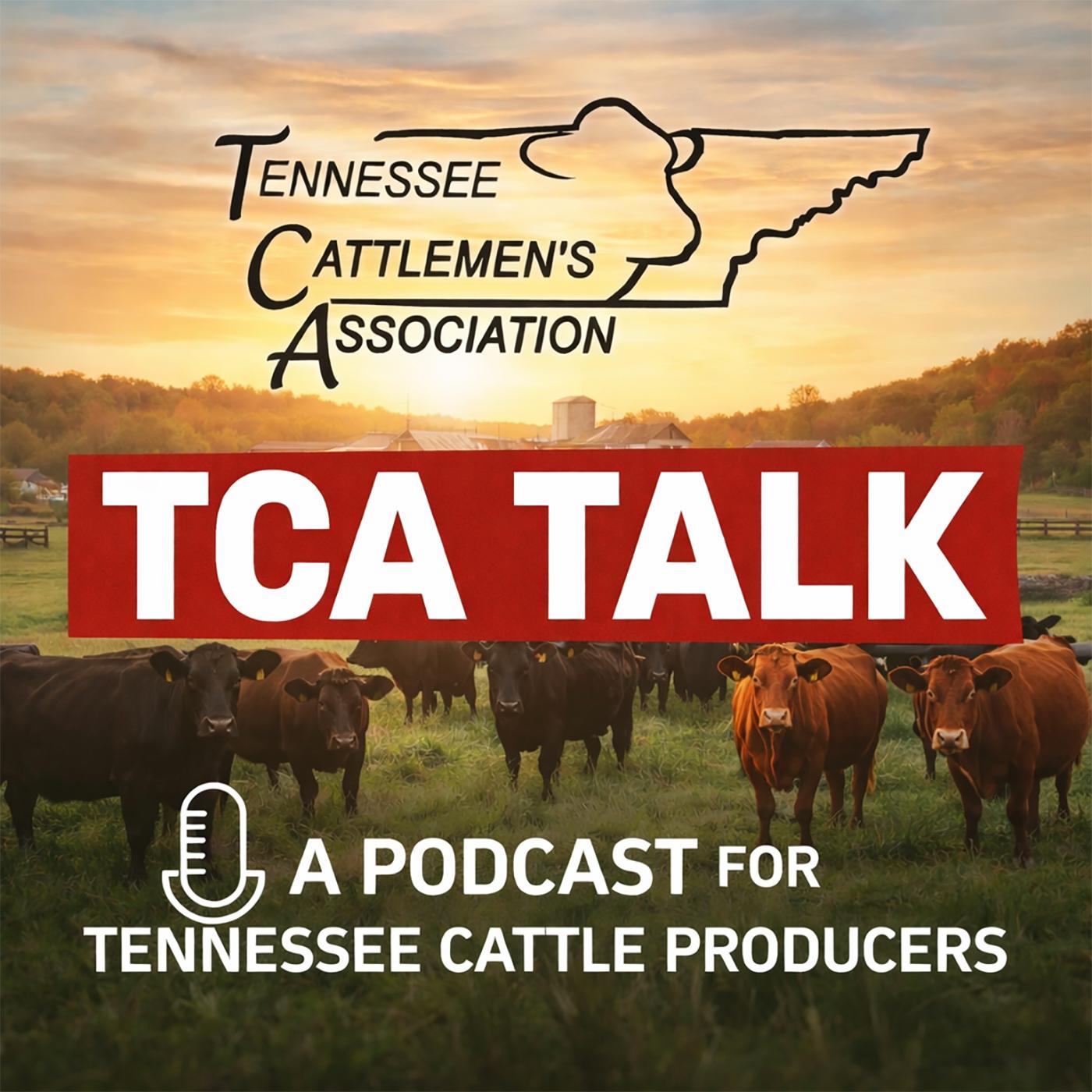 TCA Talk From The Tennessee Cattlemen's Association Cover Art