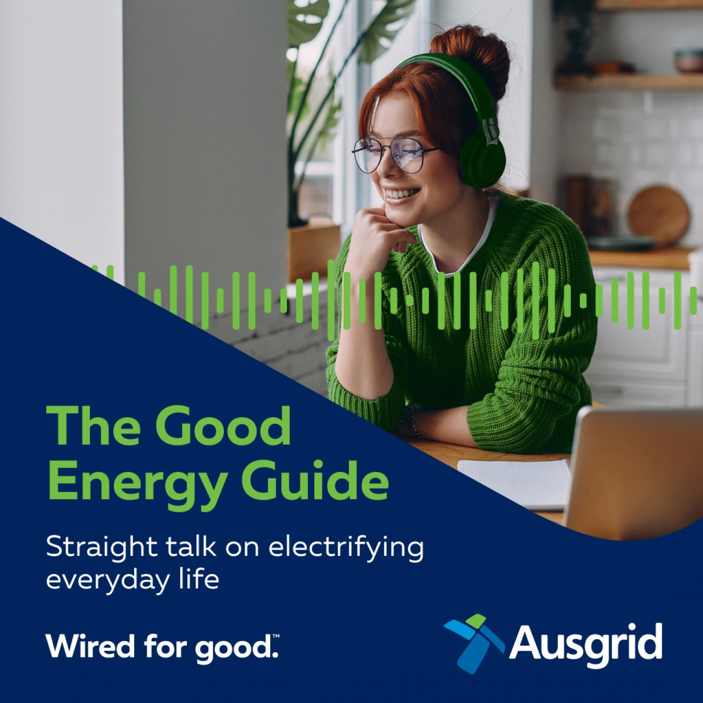 The Good Energy Guide cover art