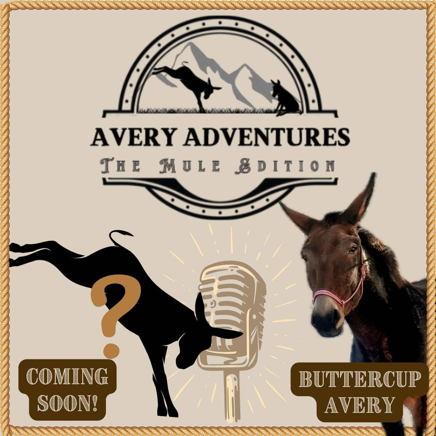 Avery Adventures Cover Art