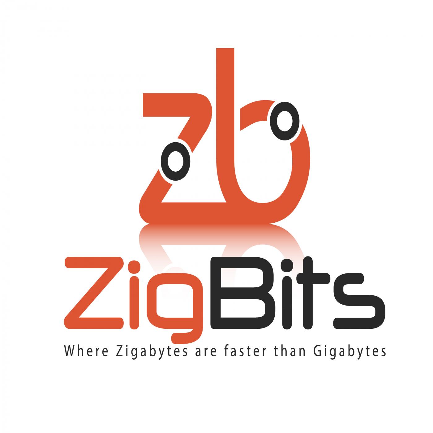 Zigbits Network Design Podcast Cover Art