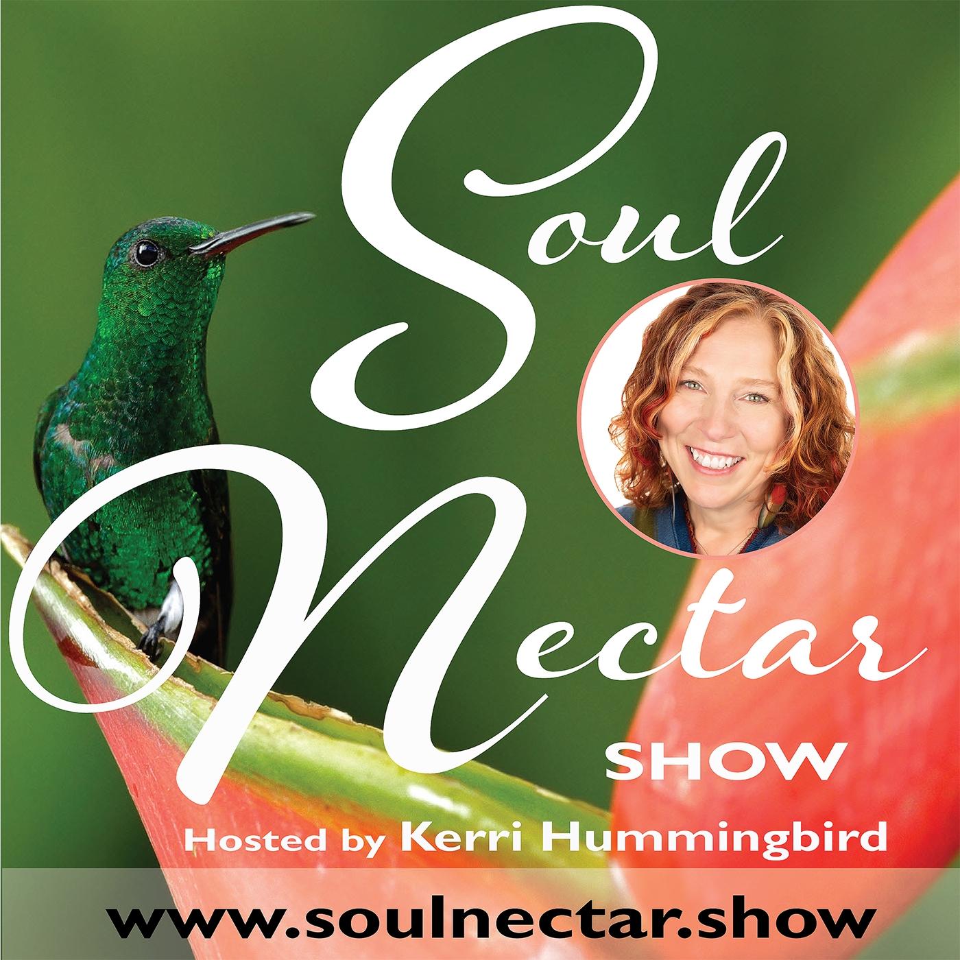 Soul Nectar Show with Kerri Hummingbird Cover Art