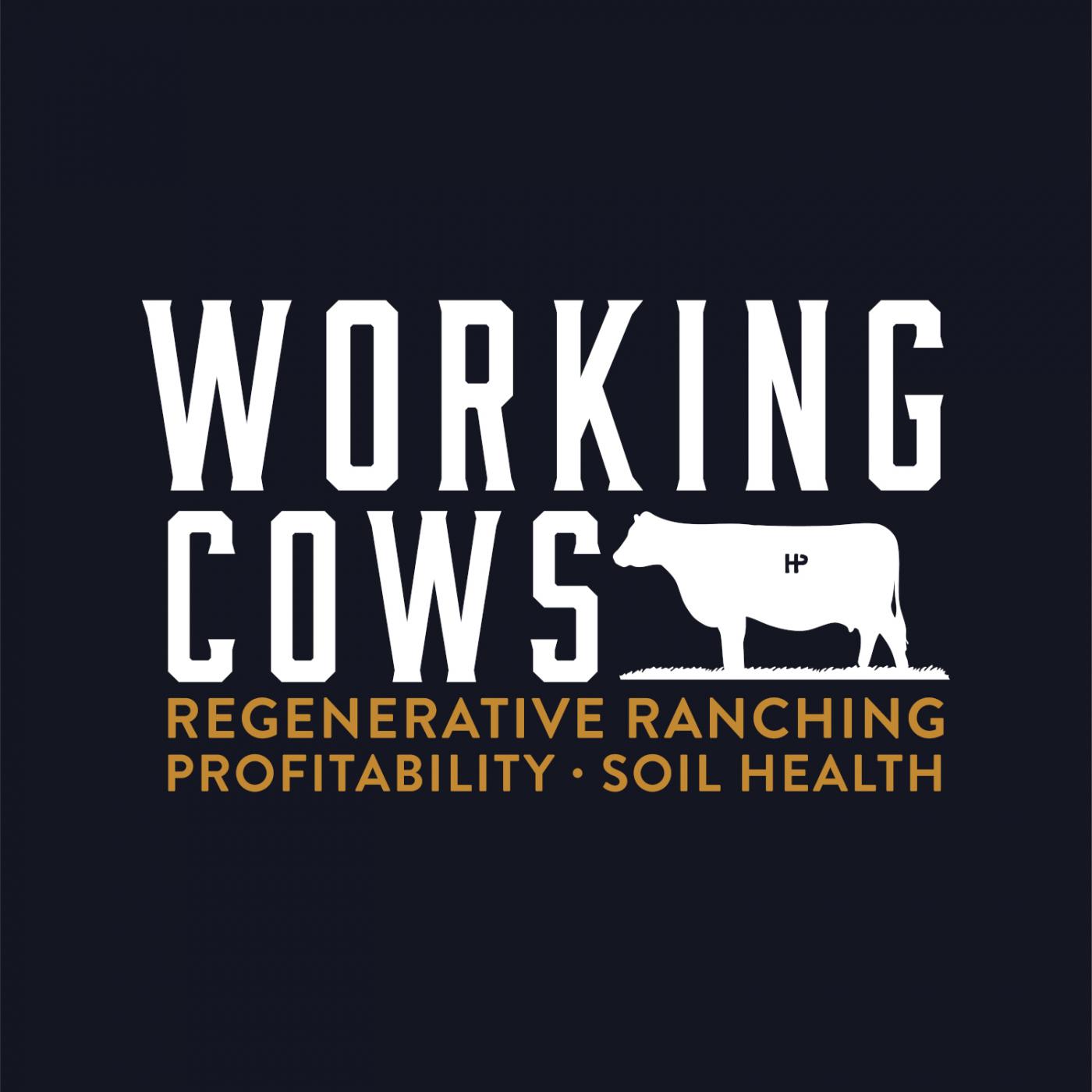 Working Cows - Regenerative Ranching to Maximize Profitability and Soil Health Cover Art