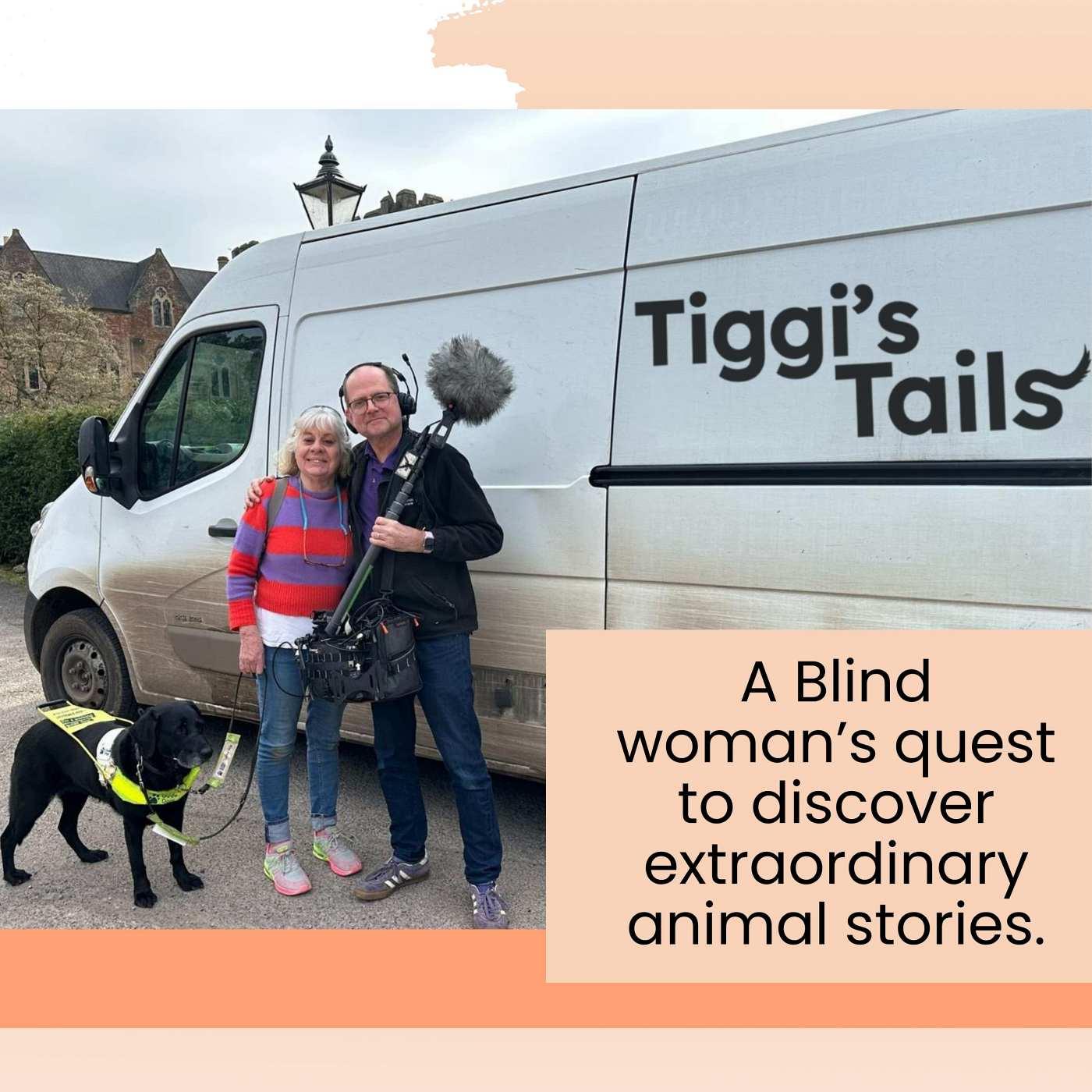 Tiggi's Tails Cover Art