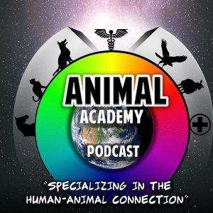 Cover art of Animal Academy Podcast Animal Academy Podcast