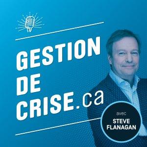 Cover art of Gestion de crise Gestion de crise