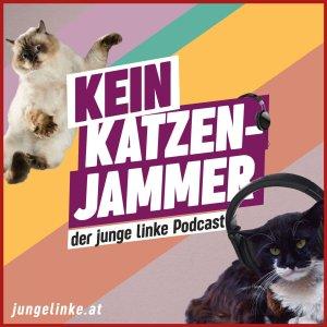 Cover art of Kein Katzenjammer Kein Katzenjammer