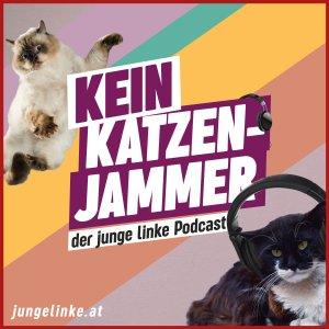 Cover art of Kein Katzenjammer Kein Katzenjammer