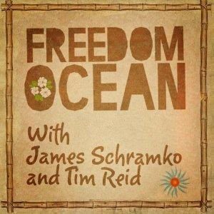 Cover art of Freedom Ocean Internet Marketing with James Schramko and Tim Reid | Internet Business | Online Marke Freedom Ocean Internet Marketing with James Schramko and Tim Reid | Internet Business | Online Marke