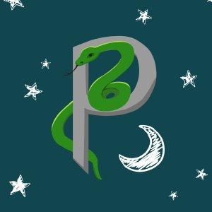 Cover art of Parselmund-Podcast Parselmund-Podcast