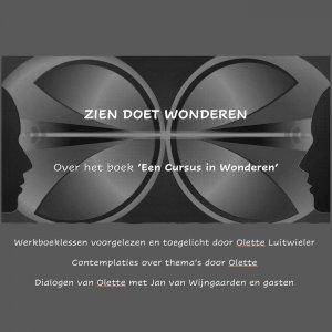 Cover art of Zien doet Wonderen (over 'Een cursus in Wonderen') Zien doet Wonderen (over 'Een cursus in Wonderen')