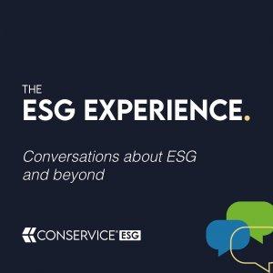Cover art of The ESG Experience The ESG Experience