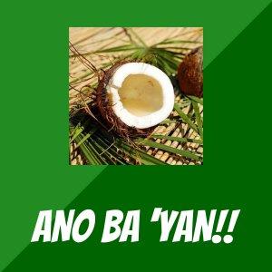 Cover art of ANO BA 'YAN!! ANO BA 'YAN!!