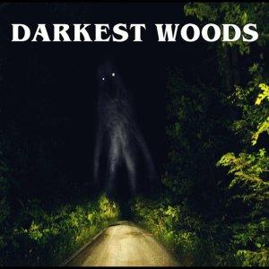 Cover art of Darkest Woods Darkest Woods