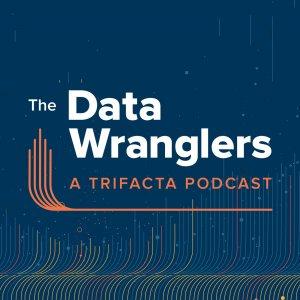 Cover art of The Data Wranglers The Data Wranglers