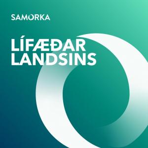 Cover art of Lífæðar landsins Lífæðar landsins