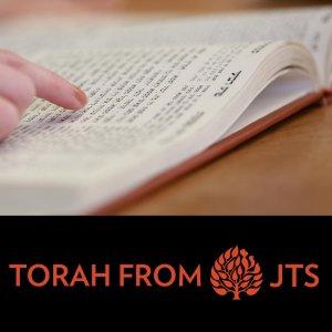 Cover art of JTS Torah Commentary JTS Torah Commentary