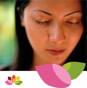 Cover art of Pratiquer la Méditation Pratiquer la Méditation