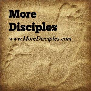 Cover art of More Disciples More Disciples