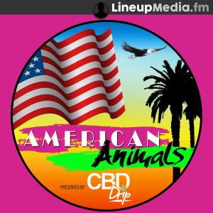 Cover art of American Animals American Animals