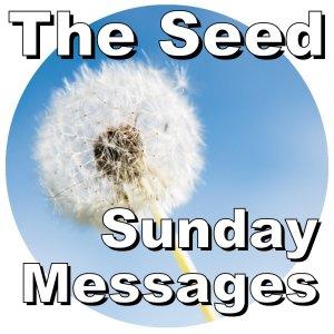 The Seed