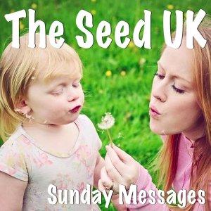 Cover art of The Seed The Seed