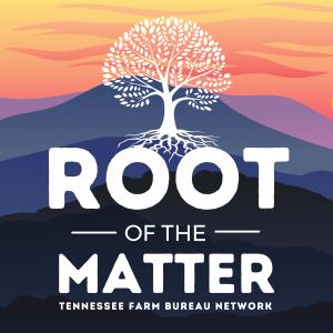Cover art of Root of the Matter Root of the Matter