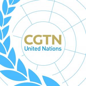 UN Insider