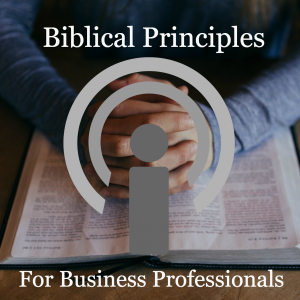 Cover art of Biblical Brinciples for Business Professionals Biblical Brinciples for Business Professionals