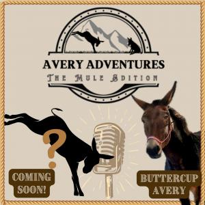 Avery Adventures