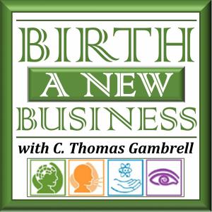 Cover art of Birth A New Business Podcast Birth A New Business Podcast