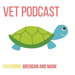 Cover art of Veterinary Podcast by the VetGurus Veterinary Podcast by the VetGurus