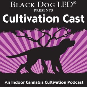 Cover art of cultivationcast cultivationcast