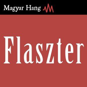 Cover art of Flaszter Flaszter