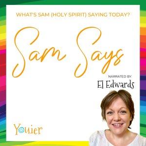 Cover art of Sam Says Sam Says
