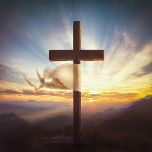 Cover art of MyFaithPodcast MyFaithPodcast