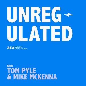 Cover art of The Unregulated Podcast The Unregulated Podcast
