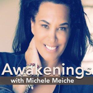Cover art of Awakenings with Michele Meiche Awakenings with Michele Meiche