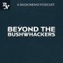 Beyond the Bushwhackers
