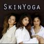 Cover art of Skinyoga - Ayurveda and Skincare Skinyoga - Ayurveda and Skincare