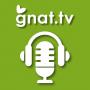 GNAT-TV