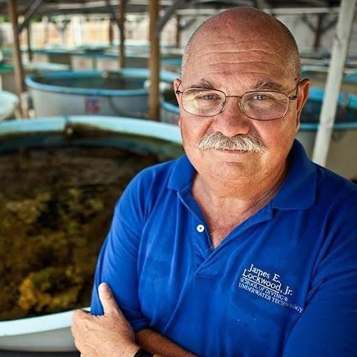 Rising Tide: The Ocean Podcast