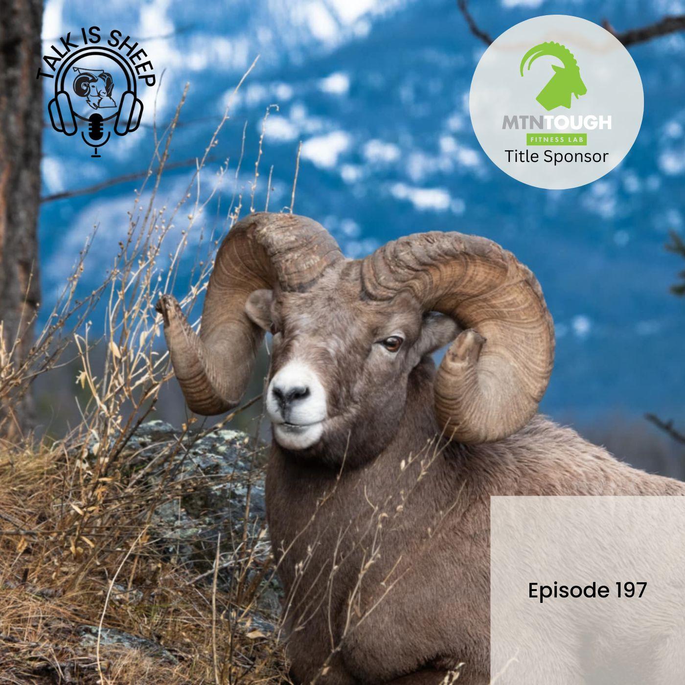 Only Rams with Greg Rensmaag and Kyle Stelter thumbnail