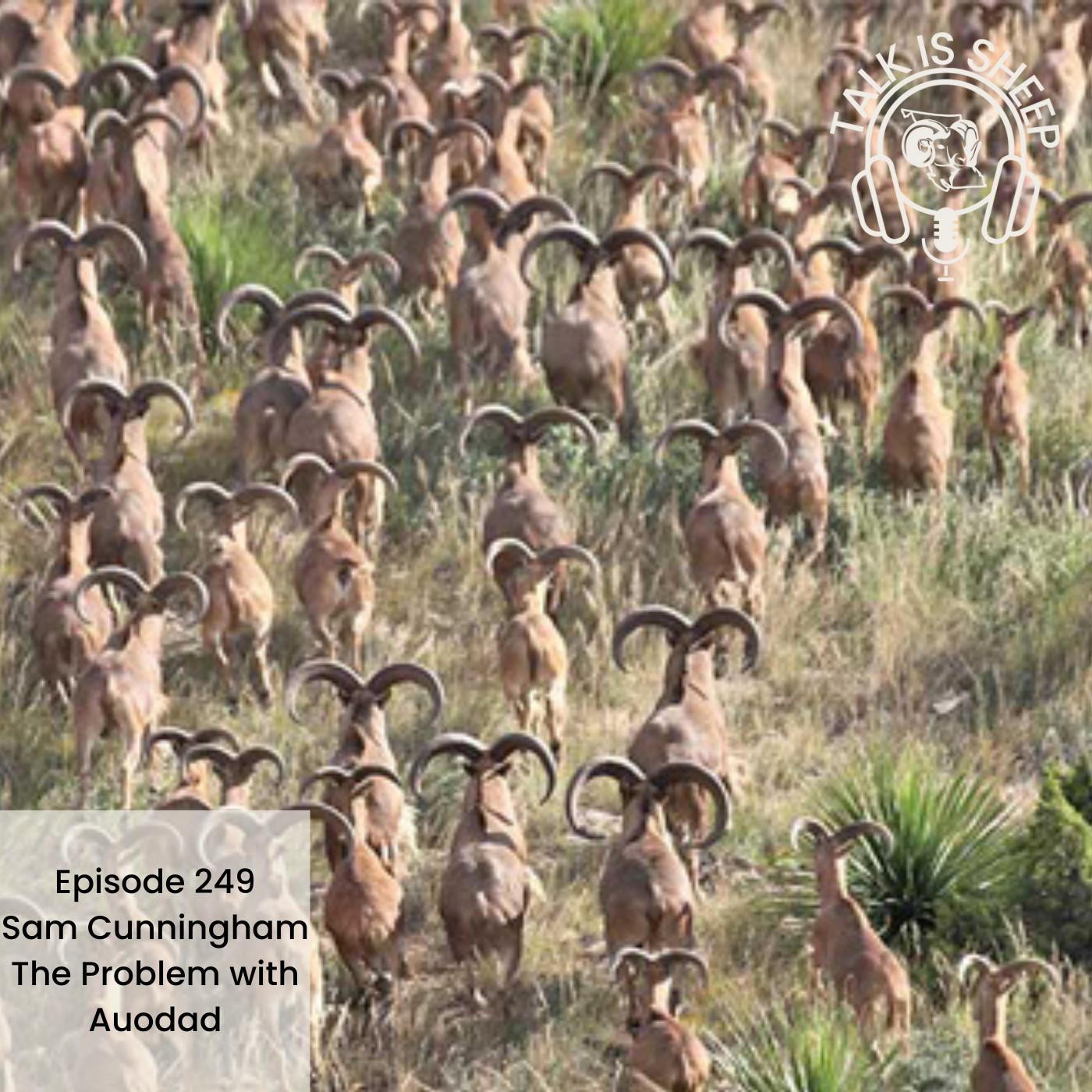 The problem with auodad with Sam Cunningham