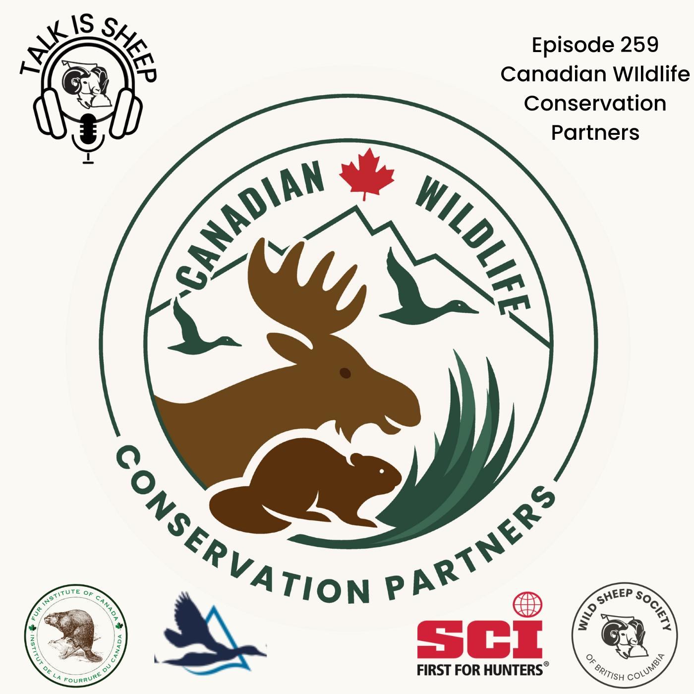 A National Collaborative is Born - CWCP