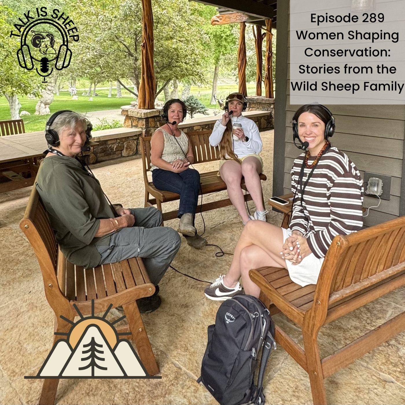 Women Shaping Conservation: Stories from the Wild Sheep Family episode artwork